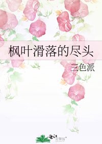 《枫叶滑落的尽头》