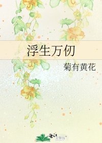 《浮生万仞》