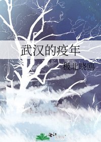 武漢的疫年