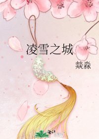 凌雪之城