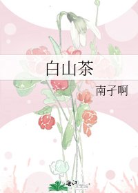 白山茶