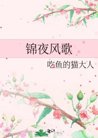 《锦夜风歌》