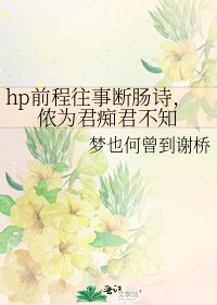 《hp前程往事断肠诗,侬为君痴君不知》