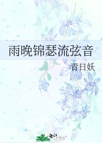 《雨晚锦瑟流弦音》