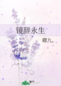 镜辞永生