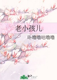 《老小孩儿》