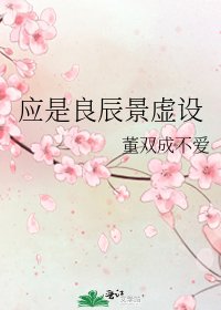 《应是良辰景虚设》