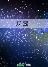 双·翼
