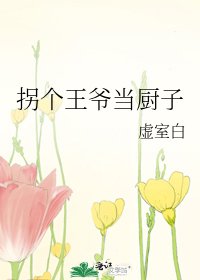 《拐个王爷当厨子》