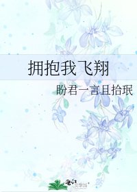 拥抱我飞翔