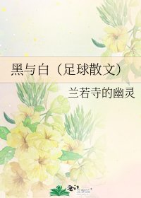 黑與白(足球散文)