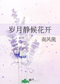 《岁月静候花开》