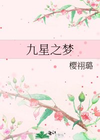 九星之夢