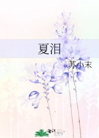 夏泪