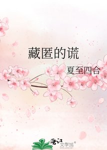 《藏匿的谎》