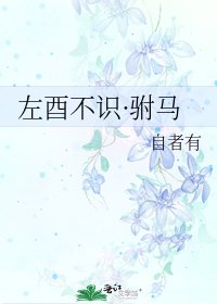《左酉不识·驸马》