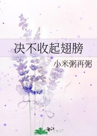 決不收起翅膀