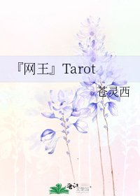 《『网王』Tarot》