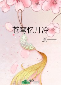 《苍穹忆月冷》