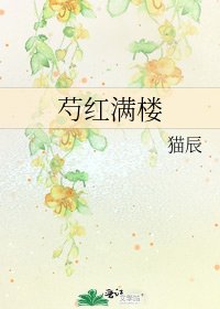 《芍红满楼》
