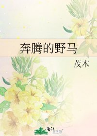 奔騰的野馬
