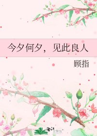 《今夕何夕,见此良人》