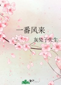 《一番风来》