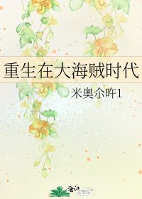 《重生在大海贼时代》