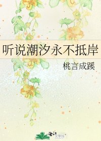 《听说潮汐永不抵岸》