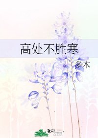 高處不勝寒