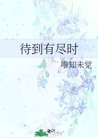 《待到有尽时》