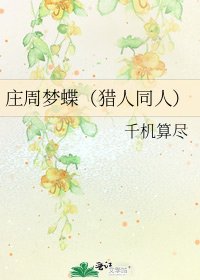 莊周夢蝶(獵人同人)
