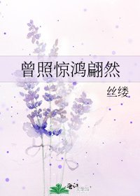 《曾照惊鸿翩然》