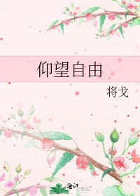 仰望自由
