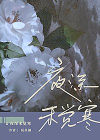 《夜深未觉寒》