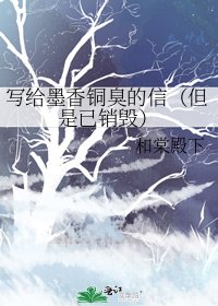 写给墨香铜臭的信（但是已销毁）