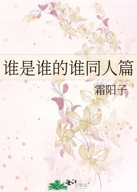 《谁是谁的谁同人篇》