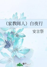 《(家教同人)白夜行》