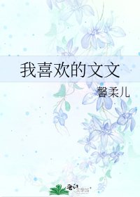 我喜歡的文文