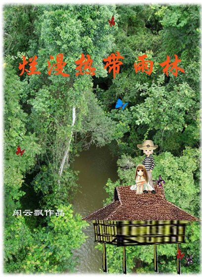爛漫熱帶雨林
