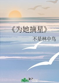 《为她摘星》