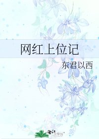 网红上位记
