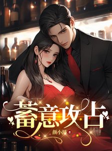 蓄意攻佔