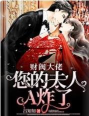 財閥大佬,您的夫人A炸了