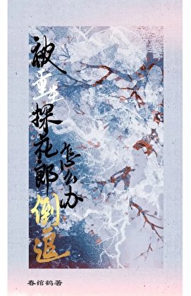 被重生探花郎倒追怎么办？/繁柚